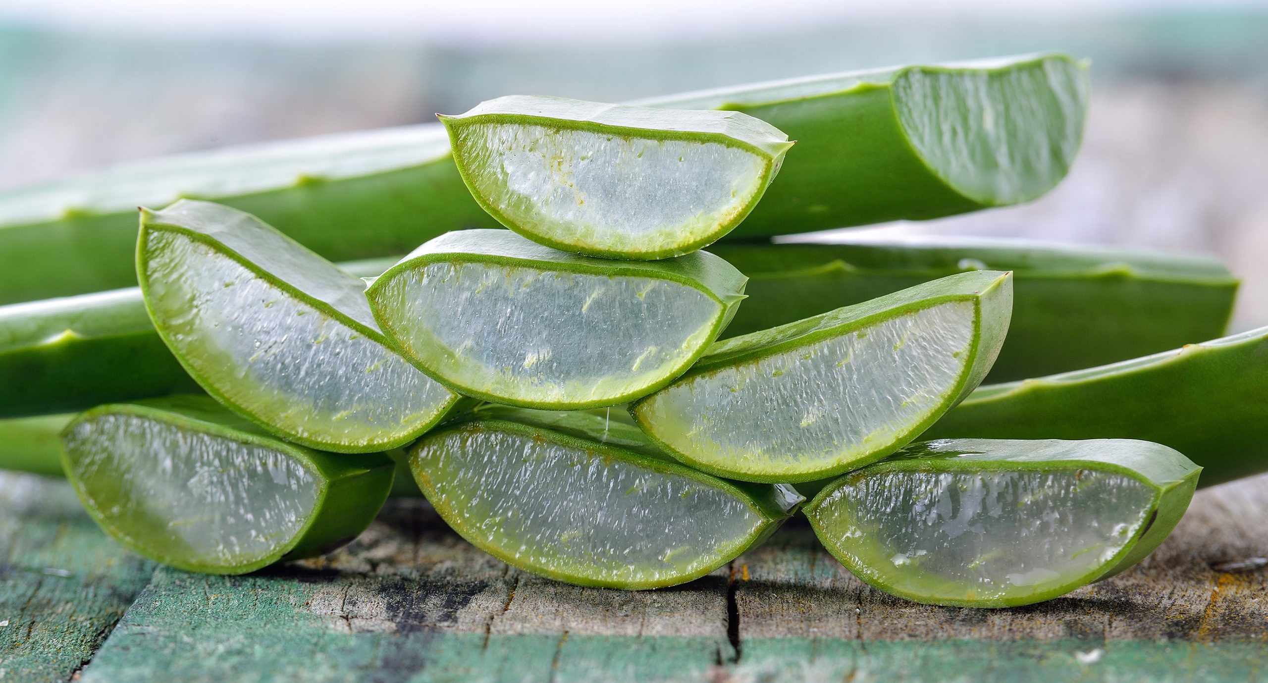 Entdecken Sie die heilenden Wunder des Forever Aloe Vera Gels